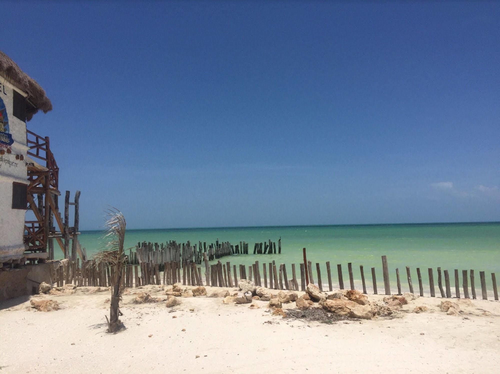 Golden Paradise Beach Otel Isla Holbox Dış mekan fotoğraf