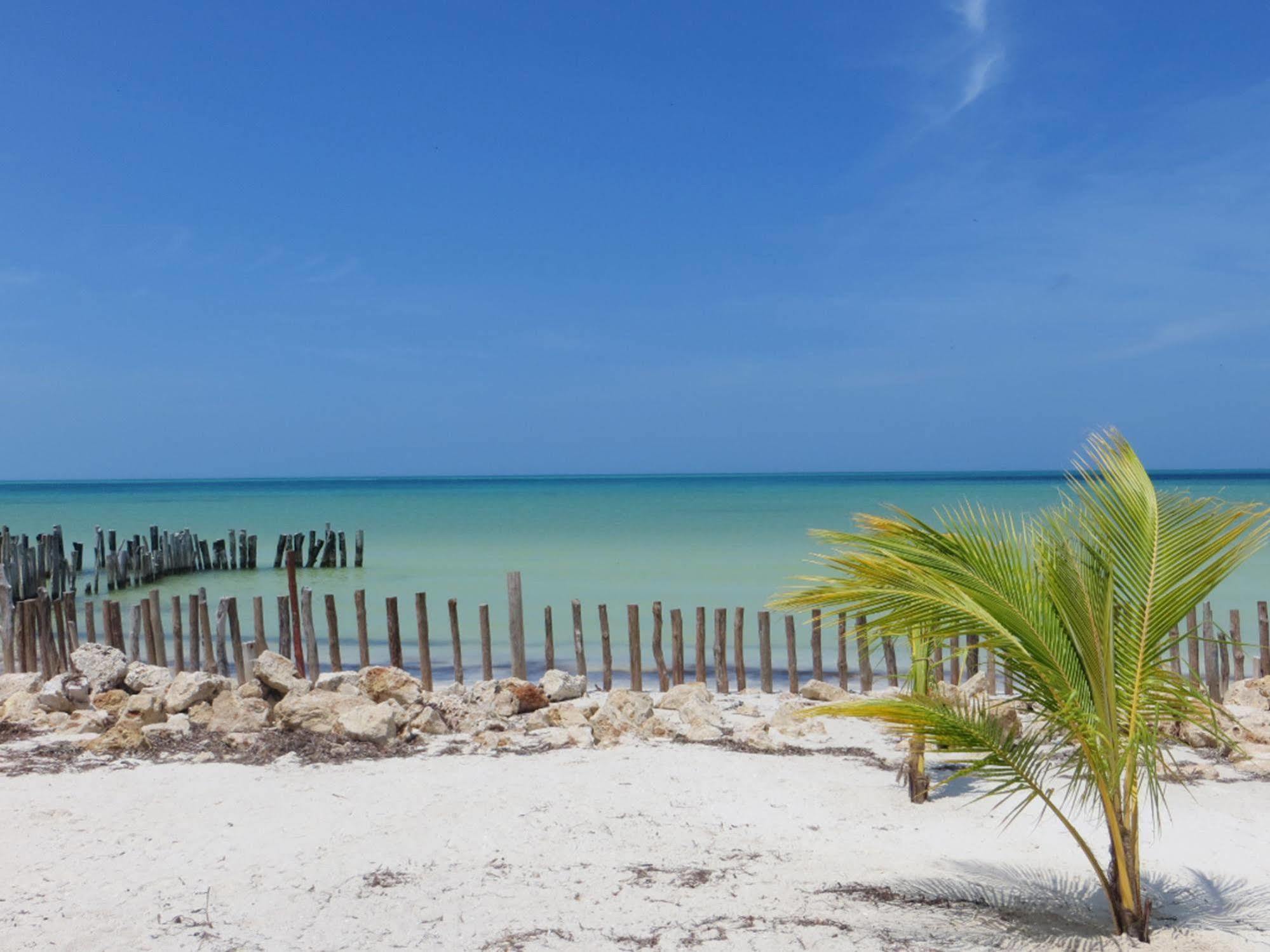 Golden Paradise Beach Otel Isla Holbox Dış mekan fotoğraf