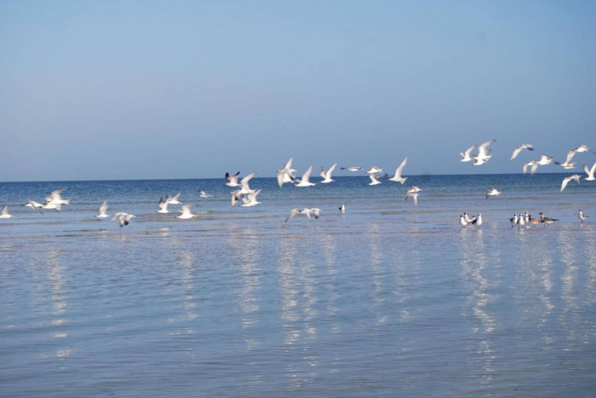 Golden Paradise Beach Otel Isla Holbox Dış mekan fotoğraf