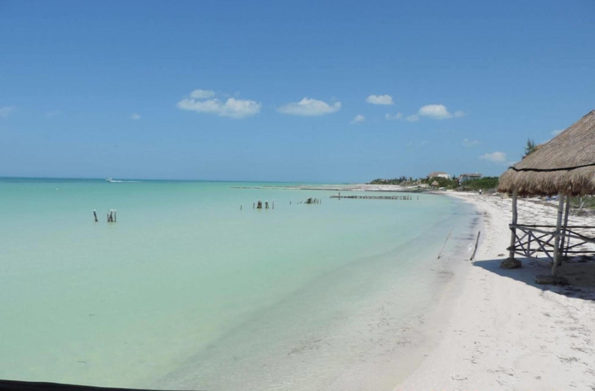 Golden Paradise Beach Otel Isla Holbox Dış mekan fotoğraf